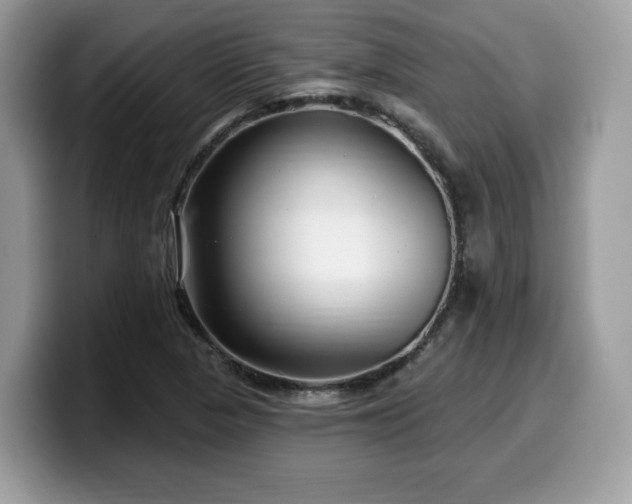X0000099961313200805301306