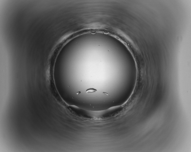 X0000099961315200805301306