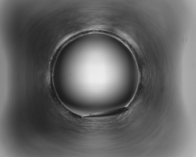 X0000099961316200805301306