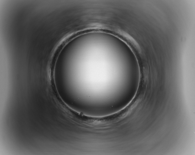X0000099961318200805301306