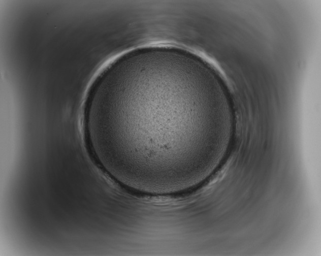 X0000099961319200805301306