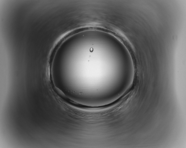 X0000099961320200805301306
