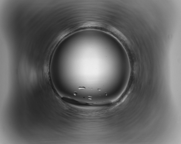 X0000099961321200805301306