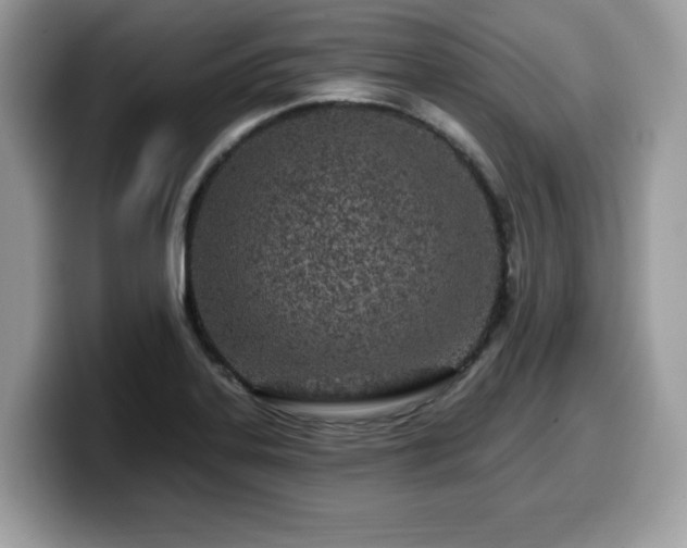 X0000099961323200805301306