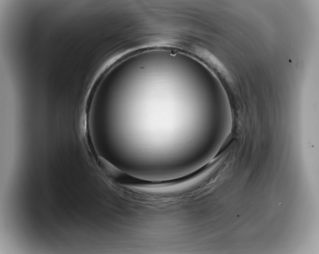 X0000099961324200805301306