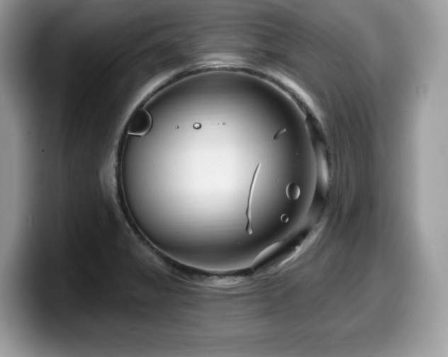 X0000099961325200805301306