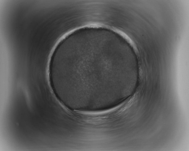 X0000099961327200805301306