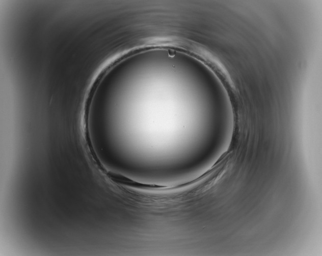 X0000099961328200805301306