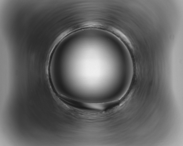 X0000099961330200805301306
