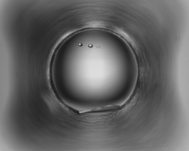 X0000099961331200805301306