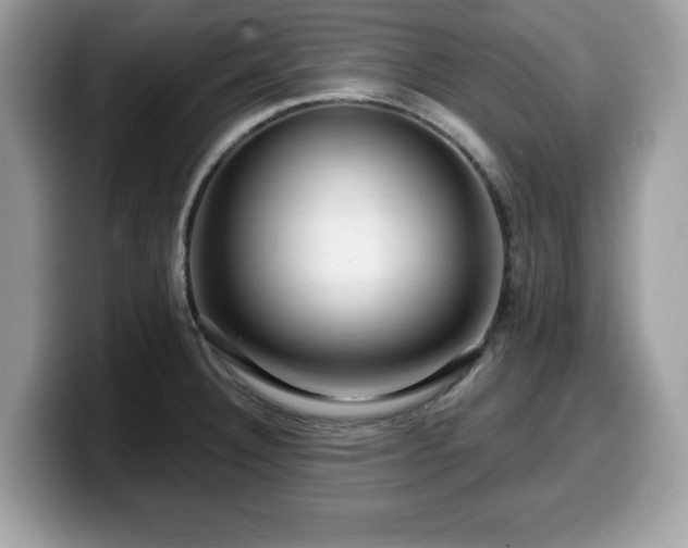 X0000099961332200805301306