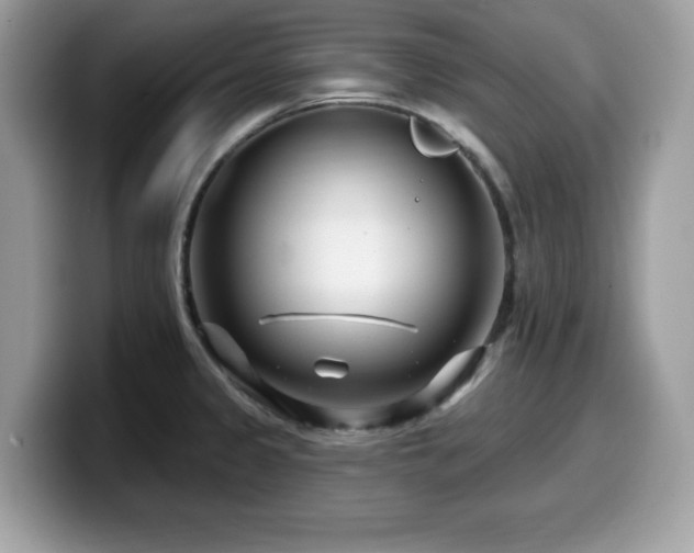X0000099961333200805301306