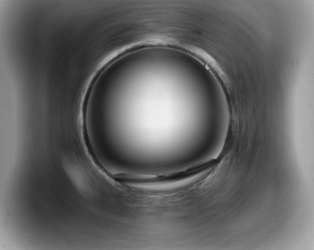 X0000099961335200805301306