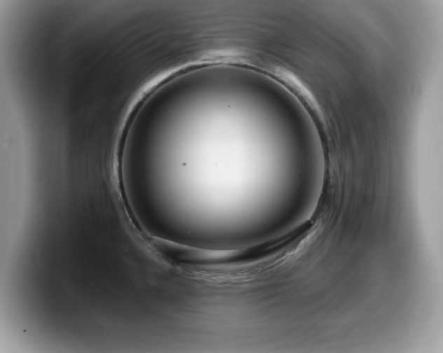 X0000099961336200805301306