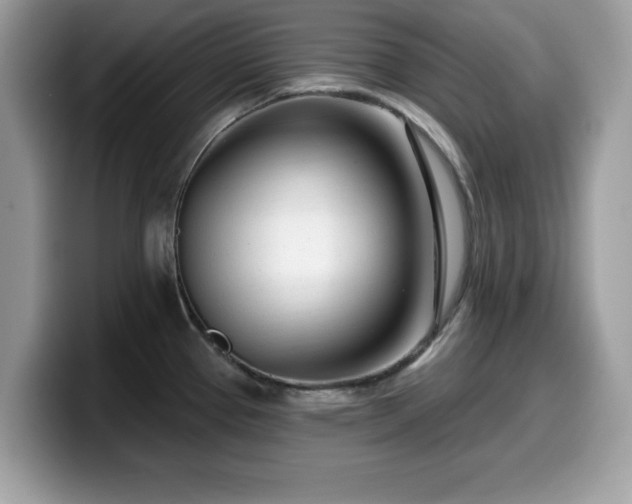 X0000099961337200805301306