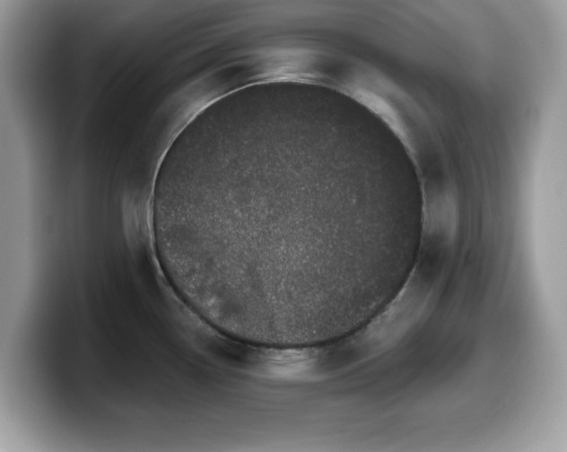 X0000099961338200805301306