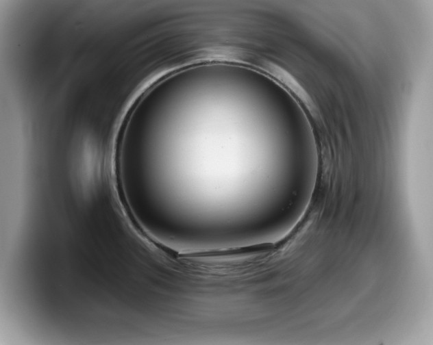 X0000099961339200805301306