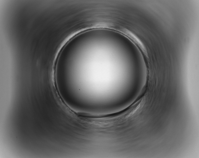 X0000099961340200805301306