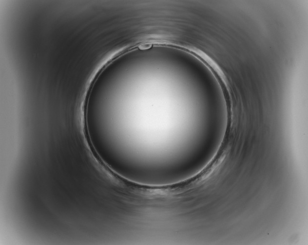 X0000099961341200805301306