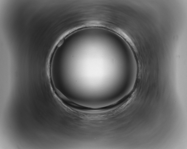 X0000099961342200805301306