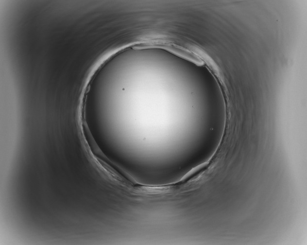 X0000099961344200805301306