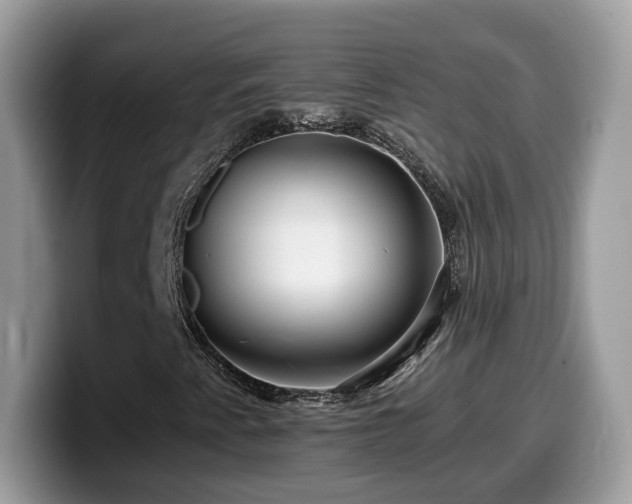 X0000099961345200805301306