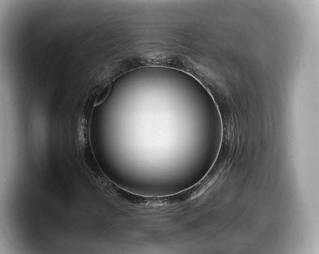 X0000099961346200805301306