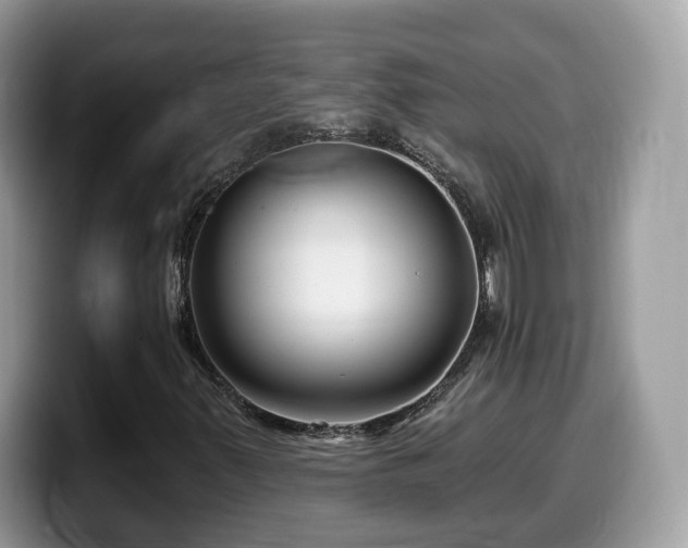 X0000099961347200805301306