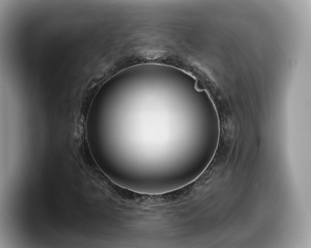 X0000099961349200805301306
