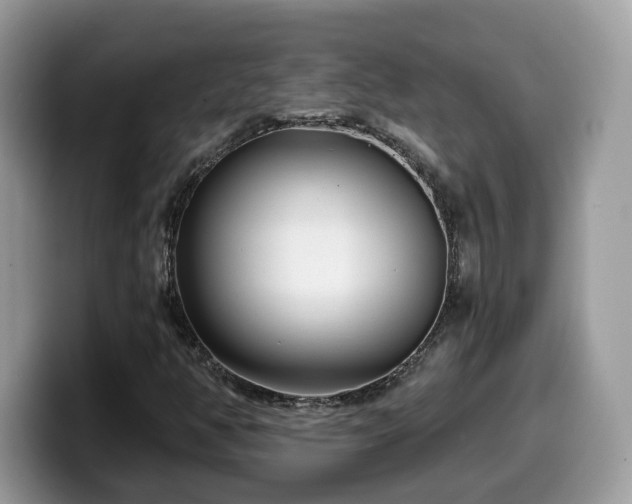 X0000099961350200805301306