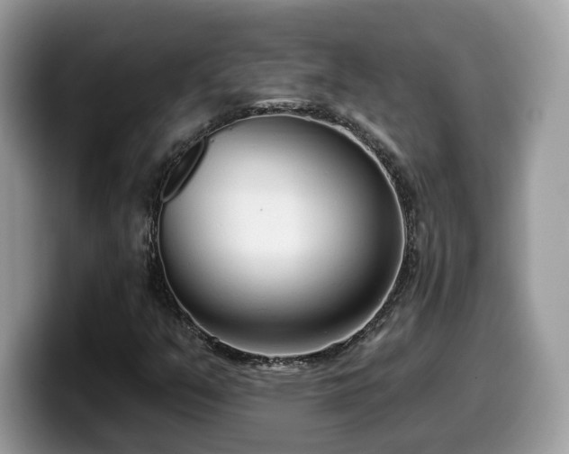 X0000099961351200805301306