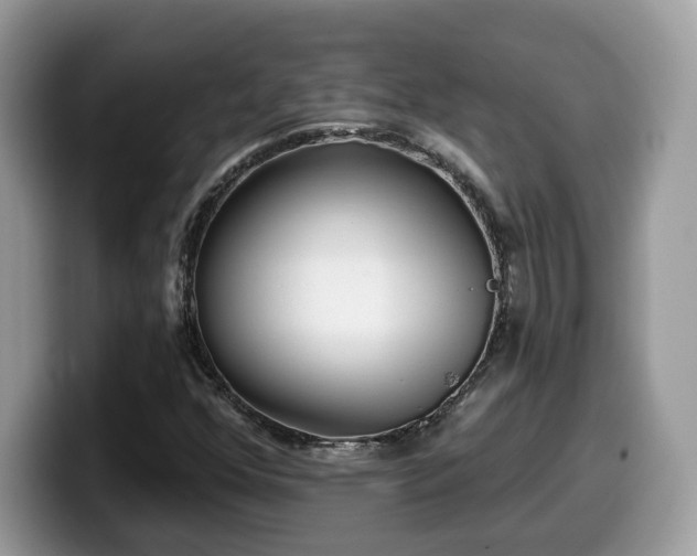 X0000099961352200805301306
