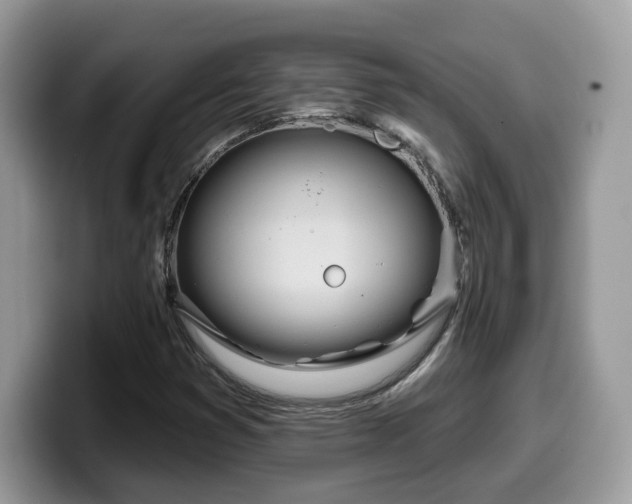 X0000099961353200805301306