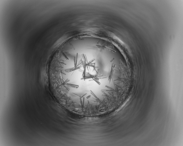 X0000099961354200805301306
