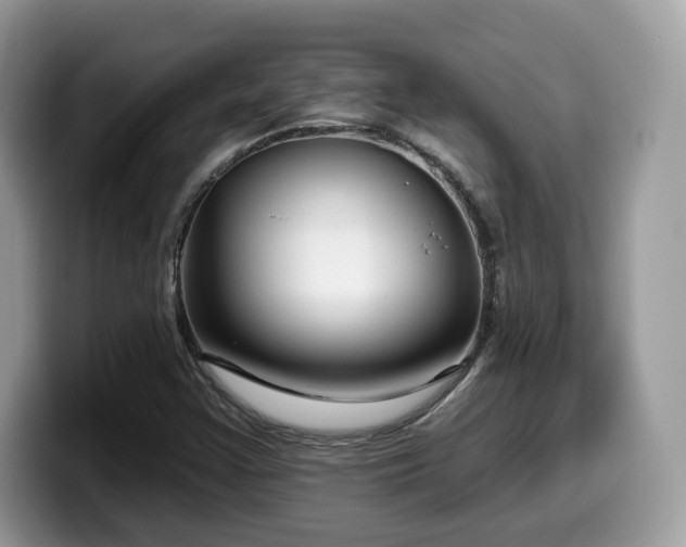 X0000099961355200805301306