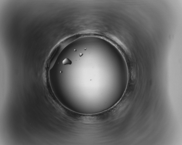 X0000099961356200805301306