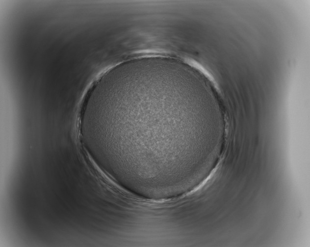 X0000099961357200805301306