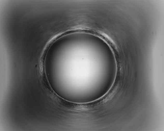 X0000099961358200805301306