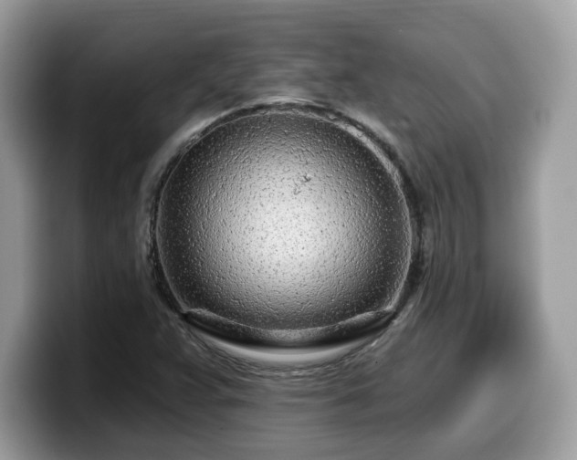 X0000099961359200805301306