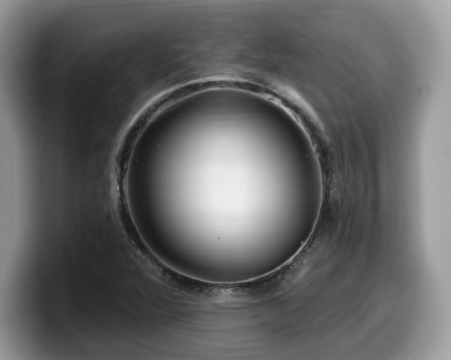 X0000099961360200805301306