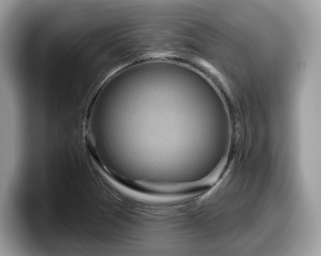 X0000099961361200805301306