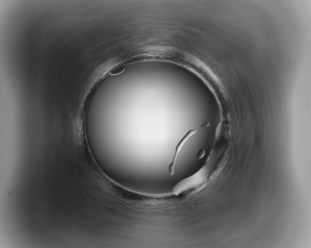 X0000099961362200805301306