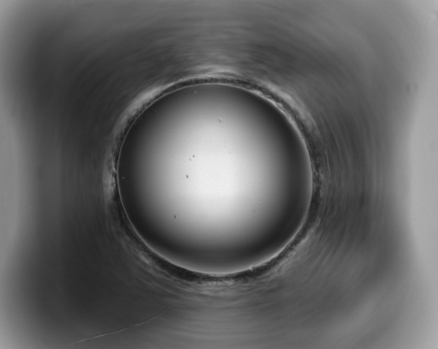 X0000099961363200805301305