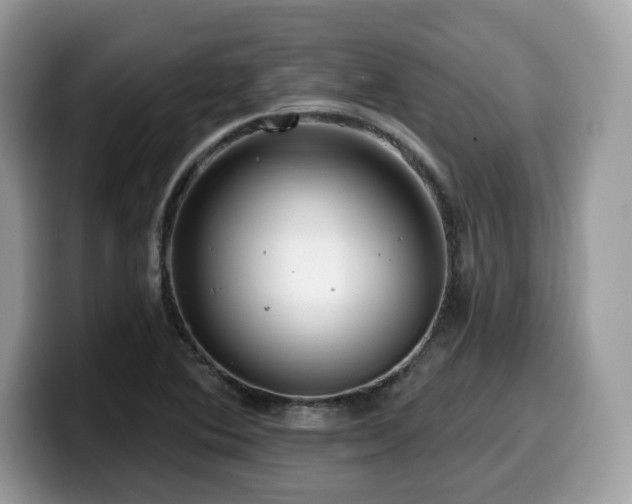 X0000099961364200805301305