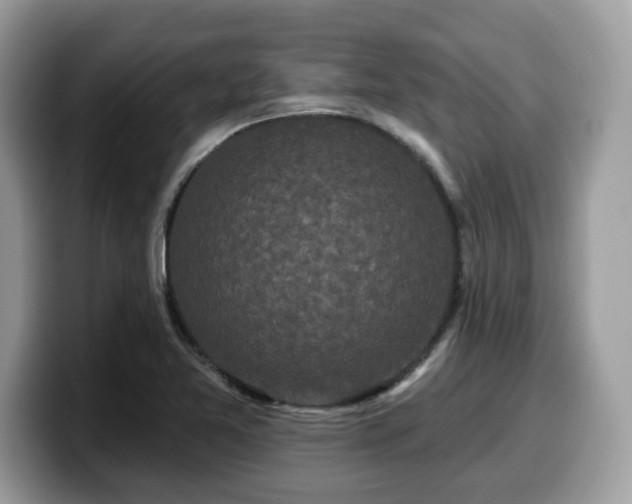 X0000099961365200805301305