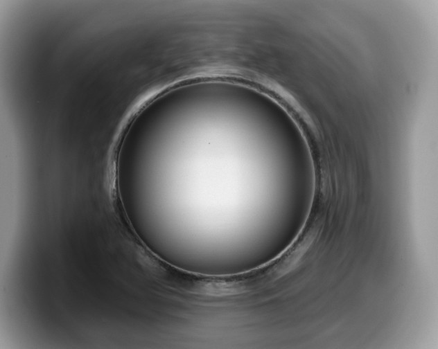 X0000099961366200805301305