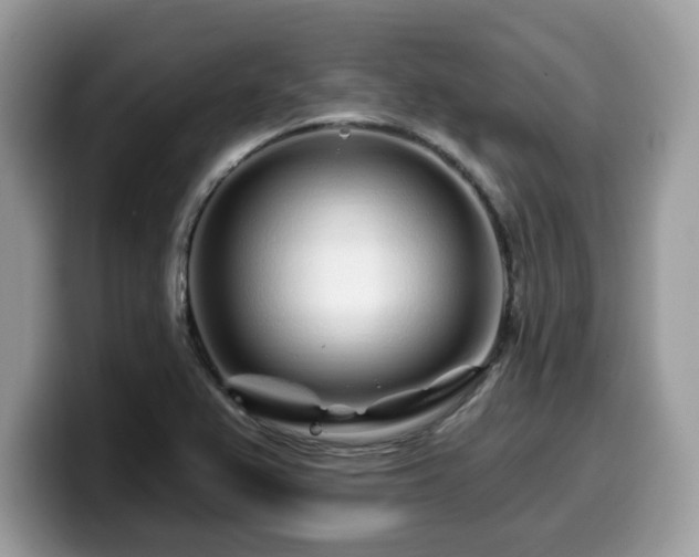 X0000099961367200805301305