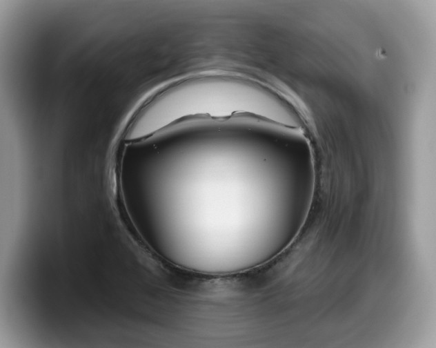 X0000099961368200805301305