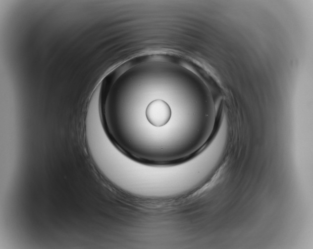 X0000099961369200805301305
