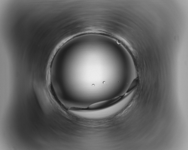 X0000099961371200805301305